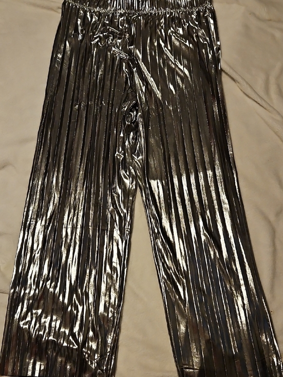 Sincerly Jules Pants - Sincerely Jules Metallic Silver Pleated Pants